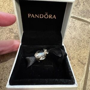 Pandora Silver Charm